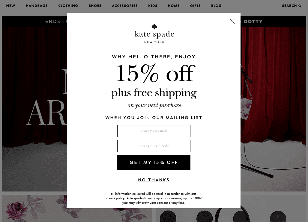 Discount Email Collection Popup