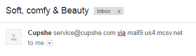 cupshe email subject line ambiguous