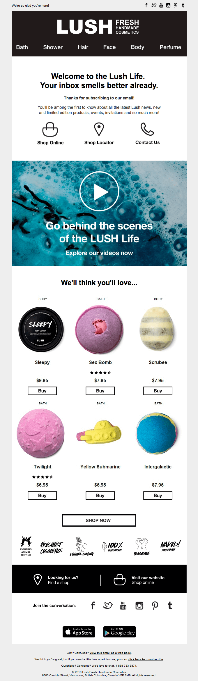 Lush Email Example