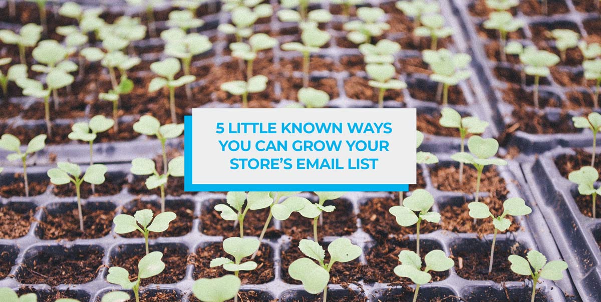 5 Little Known Ways You Can Grow Your Store's Email List