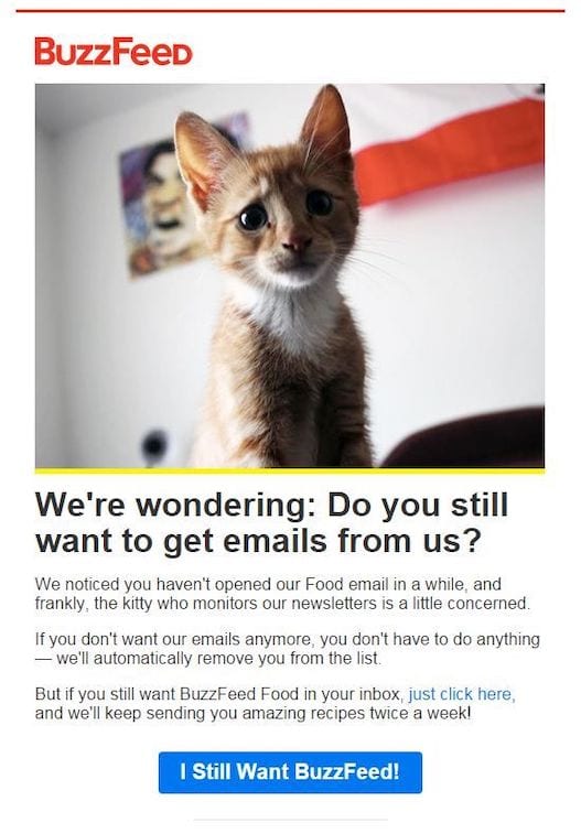 buzzfeed reactivation email campaign example