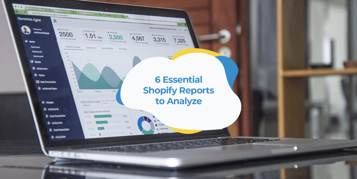 shopify reports