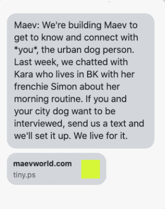 SMS Marketing example maev world